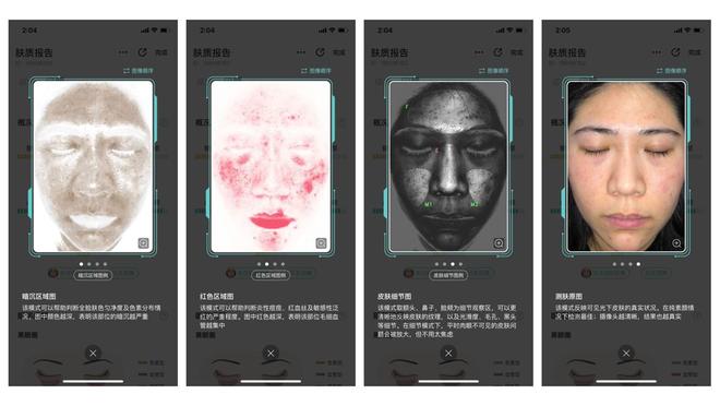 它迟早会被 AI 重做一遍 早期项目冰球
